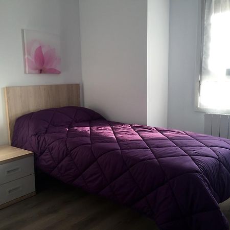 Apartamentos Jurramendi - Los Arcos Eksteriør bilde